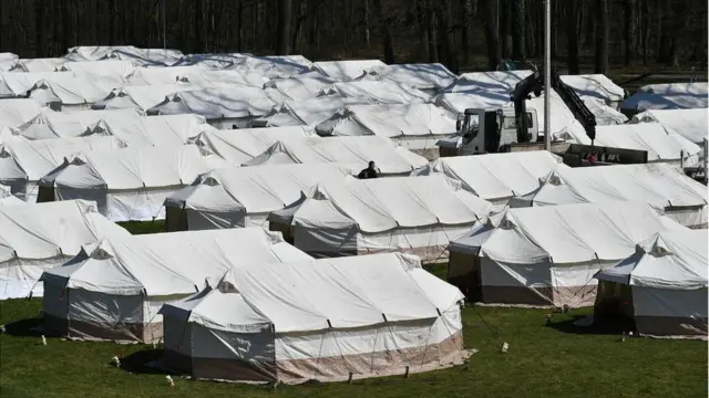 камп моровић