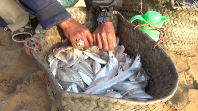 گوادر، ٹرالر، ماہی گیر