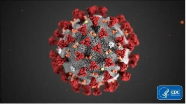 کورونا ویروس