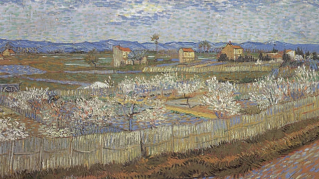 《盛开的桃花》