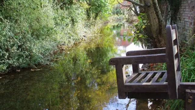 Позорный стул