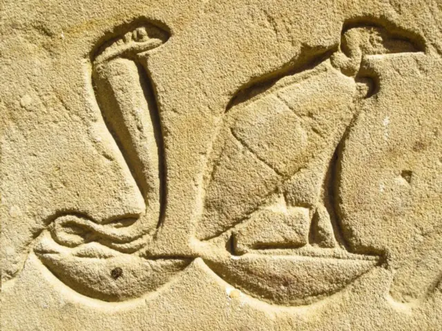 النسر المصري