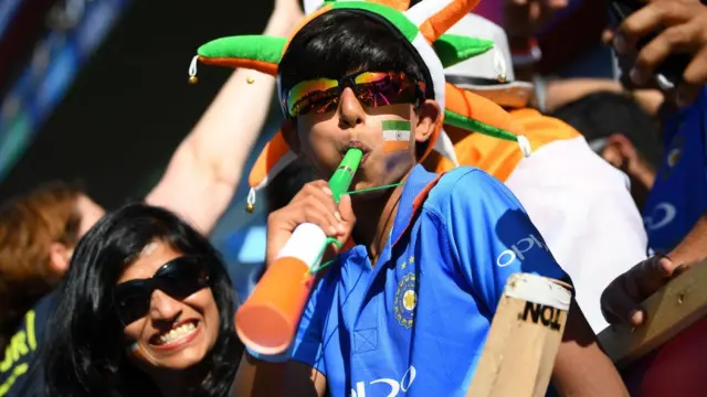 ભારતીય ક્રિકેટ સમર્થકની તસવીર