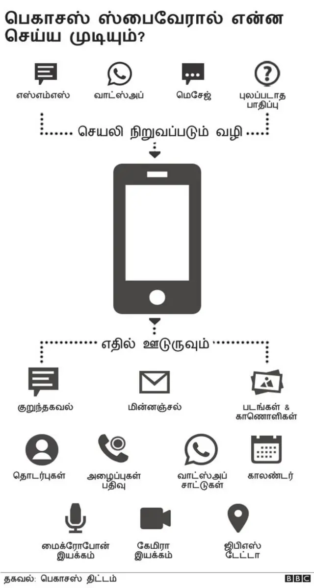 பெகாசஸ்