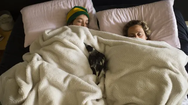 O passarinho dormindo na cama junto com dois integrantes da família