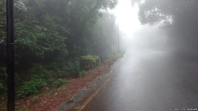 दाट धुक्यामुळे अंबेनळी घाटात धोका वाढलेला होता