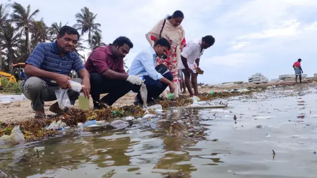 மன்னார் வளைகுடா