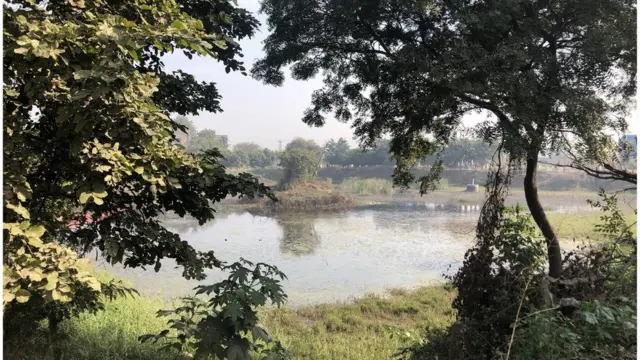 મંદિર પાસેનું તળાવઃ એવી માન્યતા છે કે આમાં સ્નાન કરવાથી ચર્મરોગ મટી જાય છે