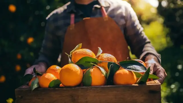 Homem segura cesta com laranjas