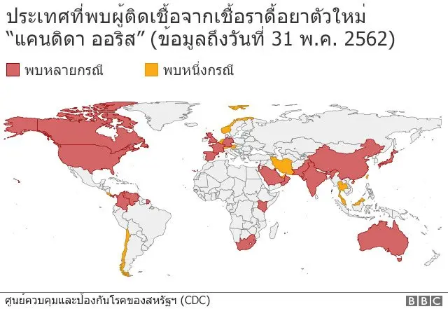 รายงานประเทศเจอเชื้อราดื้อยา