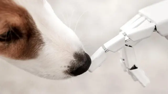 هل نعتمد قريبا على الروبوت في أعمالنا المنزلية؟