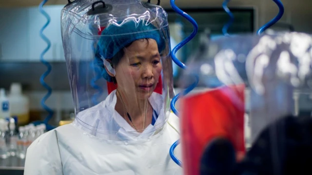 石正麗在武漢病毒研究所P4實驗室內身穿防護衣指導技術員工作（資料圖片）