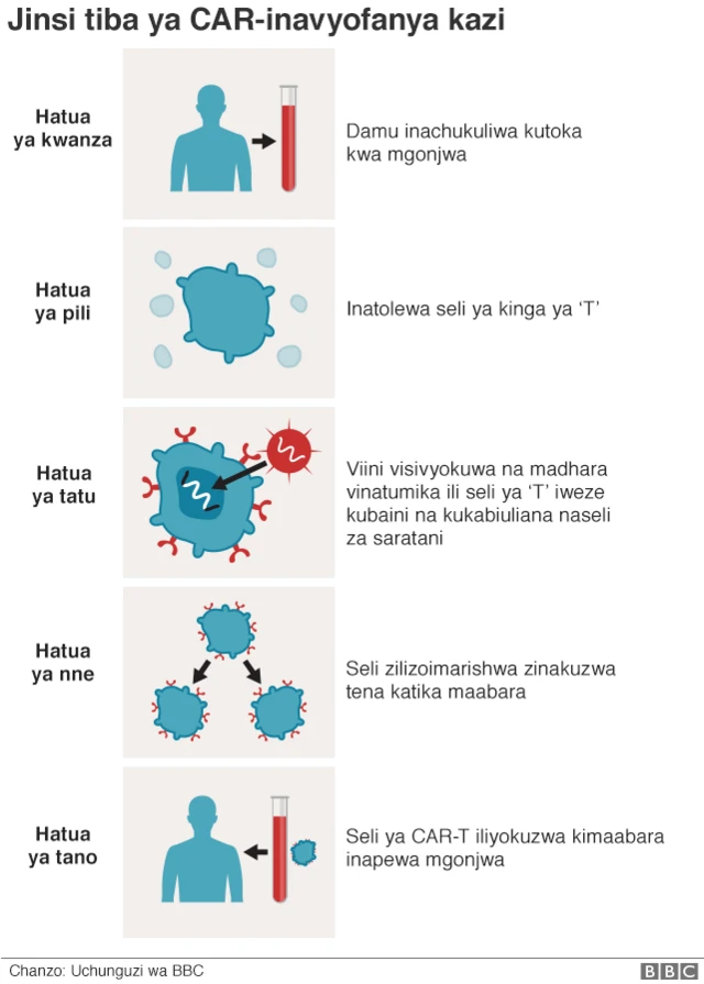 Watafiti wanasema kwamba seli aina ya T inaweza kusababisha tiba ya saratani duniani.