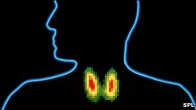 தைராய்டு சுரப்பி