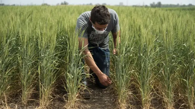 Un hombre en el campo