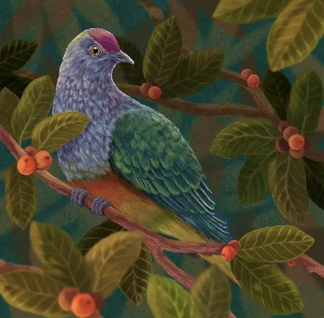 کبوتر میوهخوار