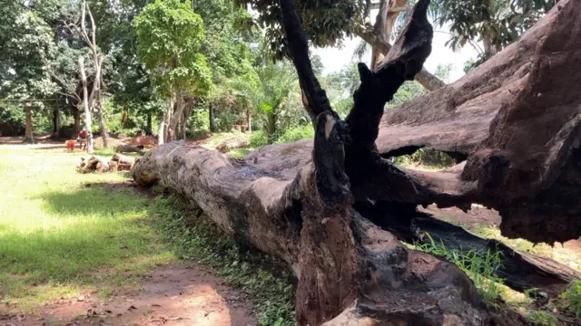 Amaknma, Abia State. Wooden Cave