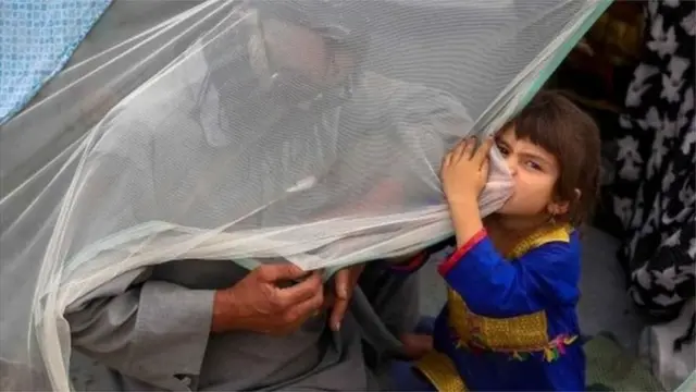 अफ़ग़ान शरणार्थी