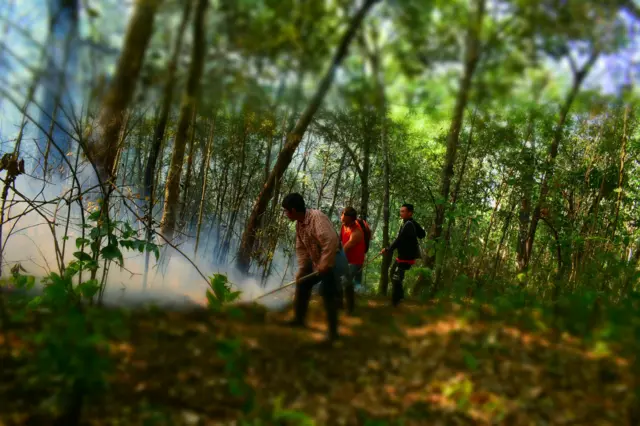 ชาวบ้านผาหมอน