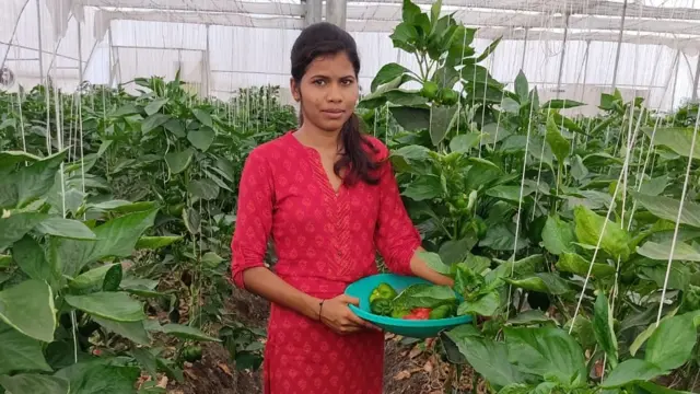 वैष्णवी