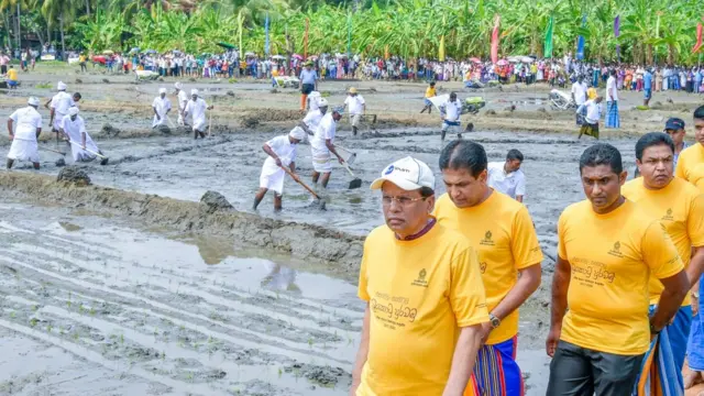 இலங்கையின் வறட்சியால் விவசாய உற்பத்தி 50% வீழ்ச்சி: சிறிசேன