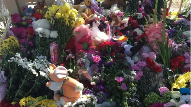 квіти біля паркану "Вікторі"