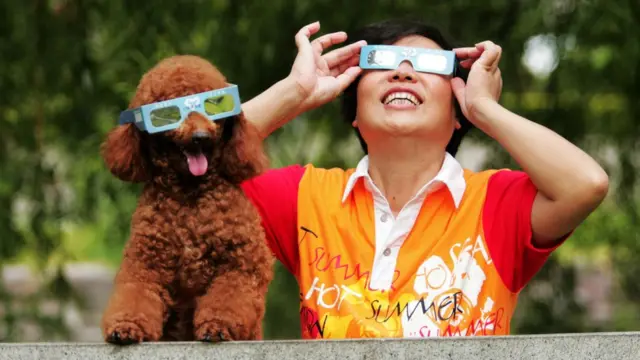 Cão e dono com óculos para ver eclipse solar