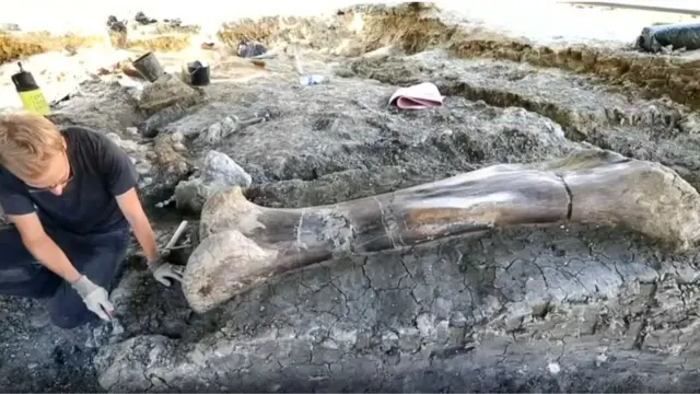 डायनासोर की जांघ की हड्डी