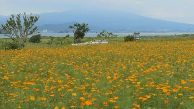 दक्षिण कोरिया