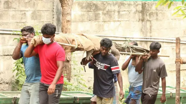 சென்னை முதலை பண்ணை