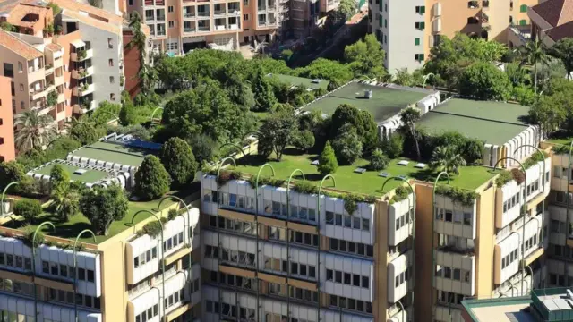 انتشترت الزراعة الحضرية على أسطح العمارات ووسط المباني الخرسانية في أنحاء موناكو