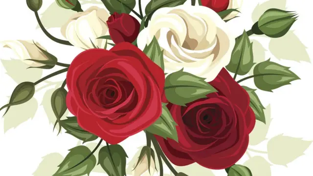 Красная роза и белая роза