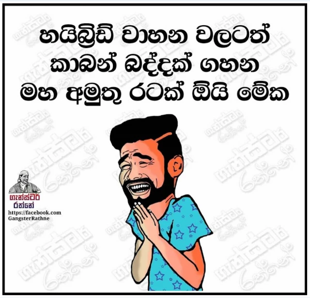 ෆේස්බුක් හි පළවූ මතයක්