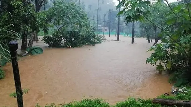 நீலகிரி