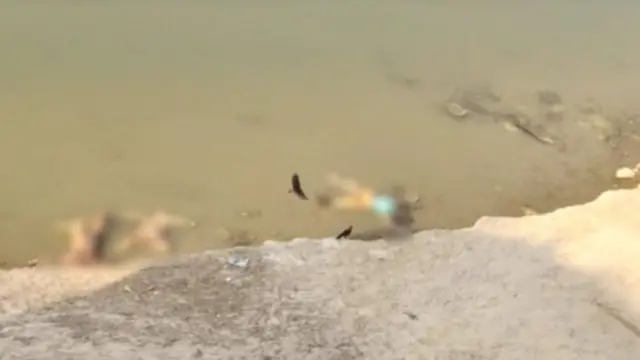 ગંગા નદીના કાંઠે મૃતદેહો