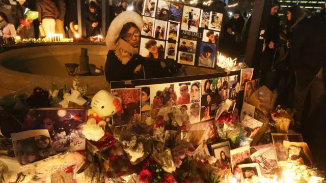 همه ۱۷۶ سرنشین هواپیما کشته شدند، از جمله شهروندان ایران، کانادا، اوکراین، سوئد، افغانستان، آلمان و بریتانیا