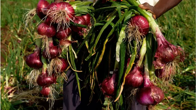 পেঁয়াজ