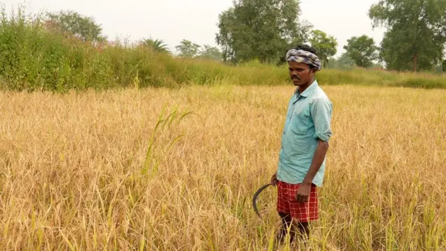 गुंधर नायक