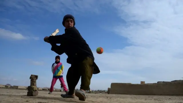 क्रिकेट