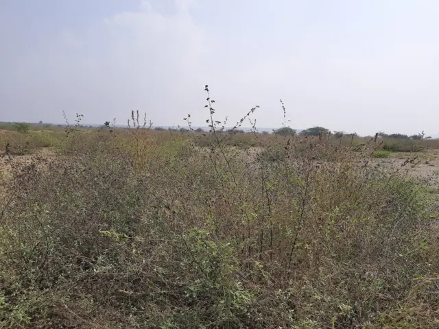 కడప స్టీల్ ప్లాంట్ భూములు