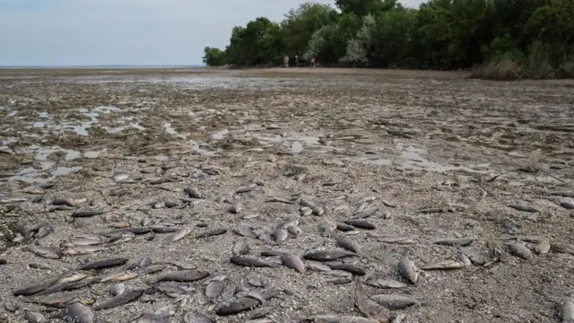 катастрофа