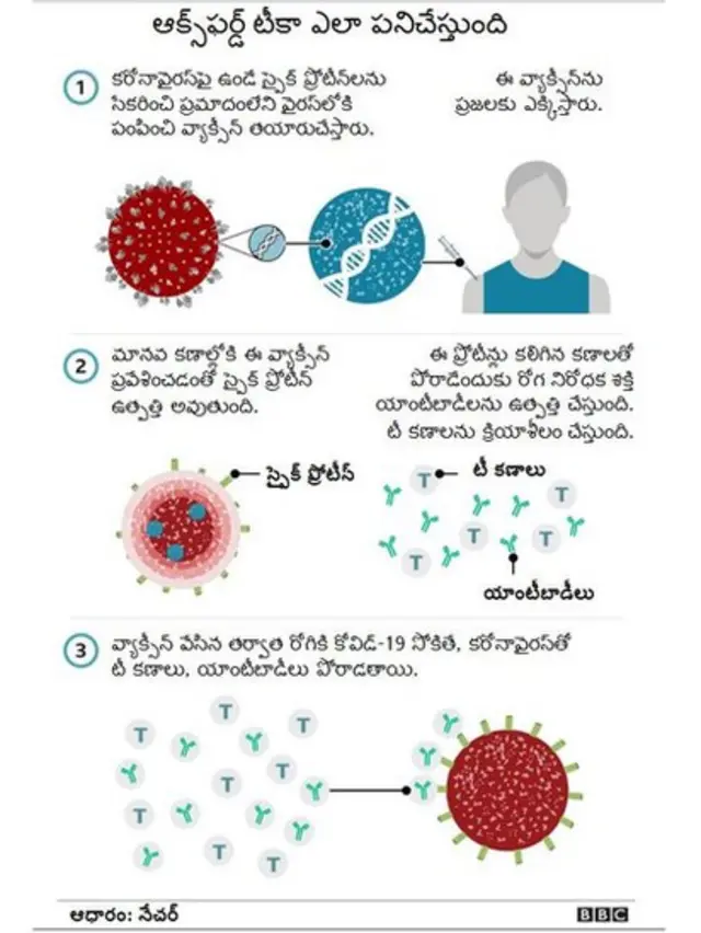 ఆక్స్ఫర్డ్ టీకా