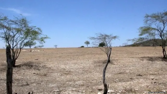 ਬ੍ਰਾਜ਼ੀਲ