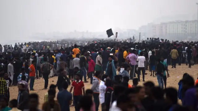 ஜல்லிக்கட்டு