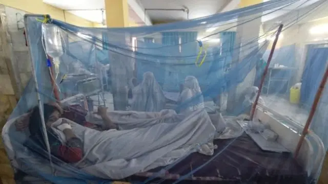 د پېښور یوه روغتون کې د ډینګي تبې د ناروغانو درملنه کېږي.