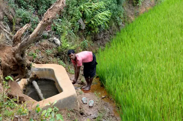 ఊటనీటి కుంట