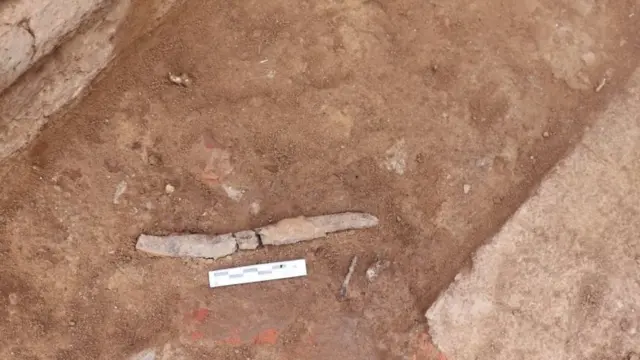 கங்கைகொண்ட சோழபுரம் மாளிகை மேடு - தமிழர் வரலாறு