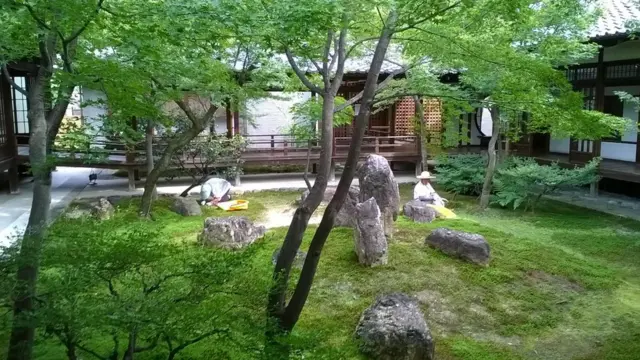 Mujeres limpiando un jardín