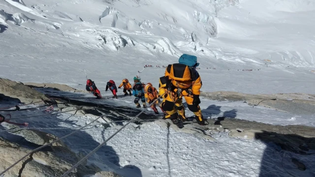 नापी समूह।