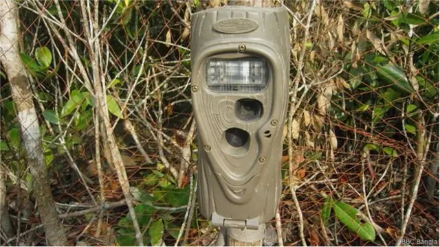 ক্যামেরা